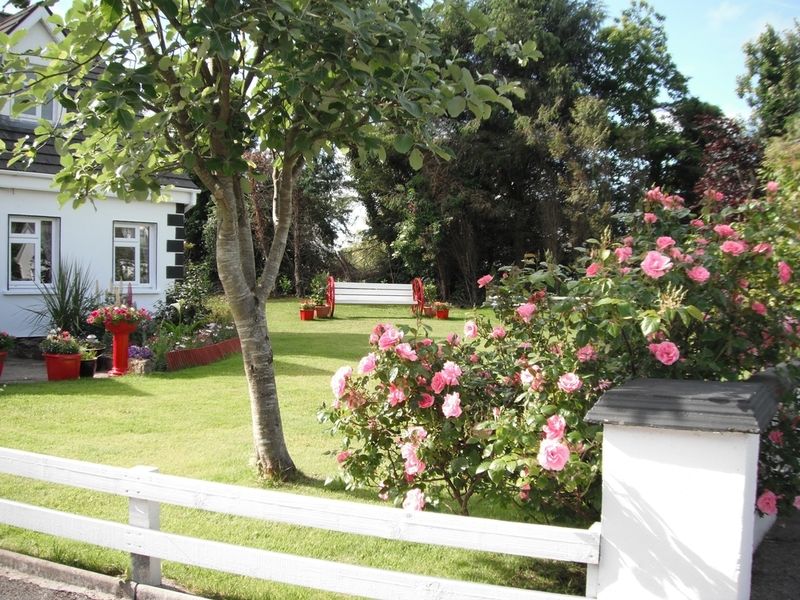 Briar Lodge Bunratty Esterno foto